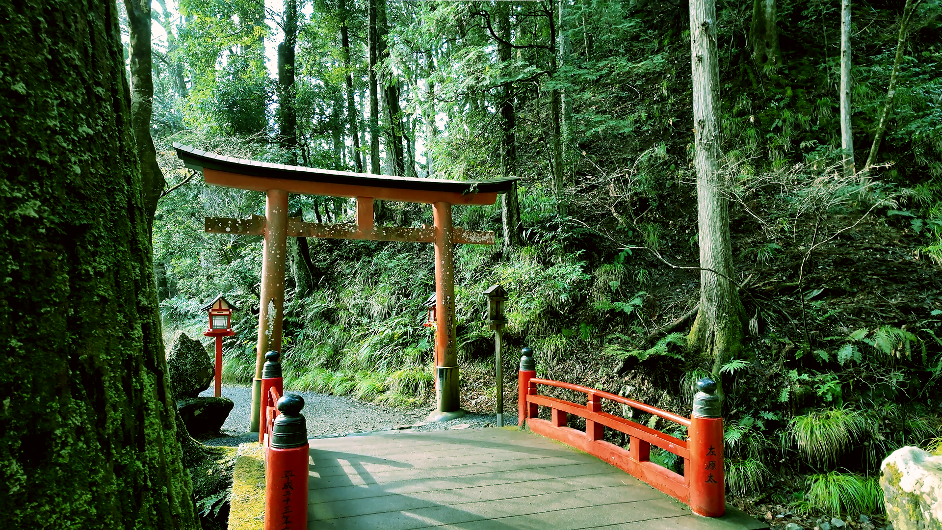 インボイス制度対応完全ガイド|中小企業の成功事例と実践手順